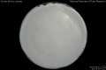 2012/4/11 20:13’10”