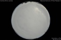 2012/4/11 20:14’10”