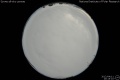 2012/4/11 20:15’10”
