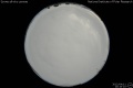 2012/4/11 20:16’10”