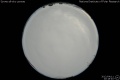 2012/4/11 20:18’40”