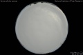 2012/4/11 20:19’40”