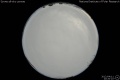 2012/4/11 20:20’10”