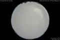 2012/4/11 20:22’40”