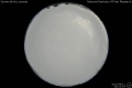 2012/4/11 20:23’10”