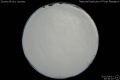 2012/4/11 20:30’10”