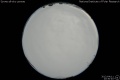 2012/4/11 20:30’40”