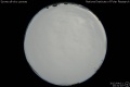 2012/4/11 20:31’10”
