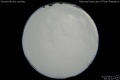 2012/4/11 20:32’10”