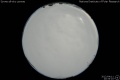 2012/4/11 20:33’10”