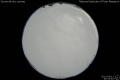 2012/4/11 20:33’40”