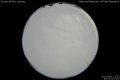 2012/4/11 20:35’10”