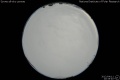 2012/4/11 20:35’40”