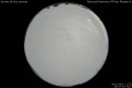 2012/4/11 20:37’10”
