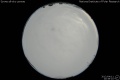 2012/4/11 20:39’10”