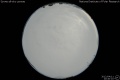 2012/4/11 20:40’10”