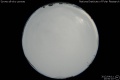 2012/4/11 20:50’10”