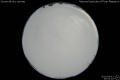 2012/4/11 20:52’10”