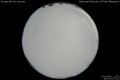 2012/4/11 20:53’10”