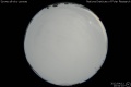 2012/4/11 20:54’10”
