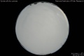 2012/4/11 20:54’40”