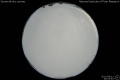 2012/4/11 20:55’40”