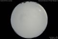 2012/4/11 20:59’10”