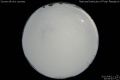 2012/4/11 20:59’40”