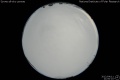 2012/4/11 21:00’10”