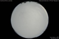 2012/4/11 21:00’40”