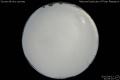 2012/4/11 21:09’10”