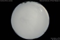 2012/4/11 21:10’10”