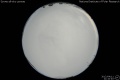 2012/4/11 21:10’40”