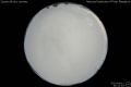 2012/4/11 21:11’10”