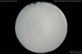 2012/4/11 21:11’40”