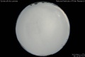 2012/4/11 21:12’10”
