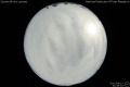 2012/4/11 21:49’10”