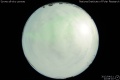 2012/4/11 22:08’10”