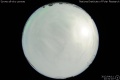 2012/4/11 22:31’10”