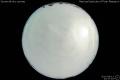2012/4/11 22:37’10”