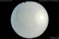 2012/4/11 23:07’10”