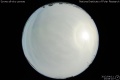 2012/4/11 23:08’10”