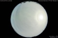 2012/4/11 23:09’40”