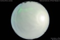 2012/4/11 23:12’10”