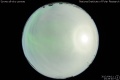 2012/4/11 23:29’40”