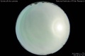 2012/4/11 23:35’10”