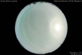 2012/4/11 23:38’10”