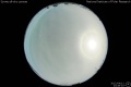2012/4/11 23:49’10”