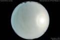 2012/4/11 23:50’10”