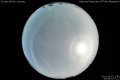 2012/4/12 00:59’10”